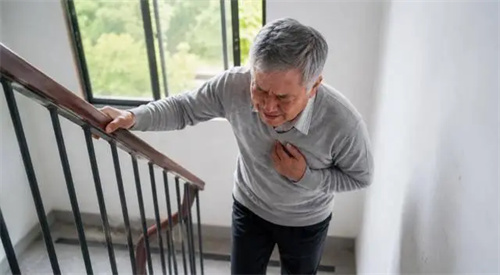详细介绍