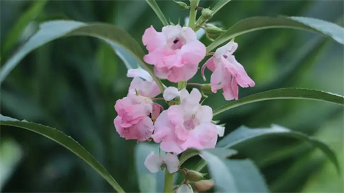 细节说明