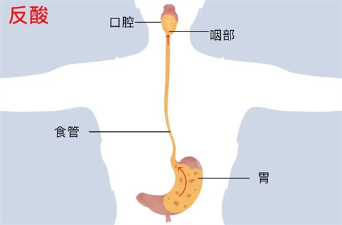 细节介绍