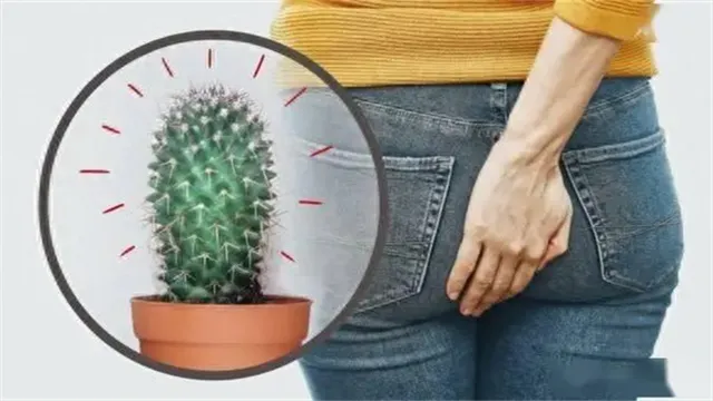 详细描述