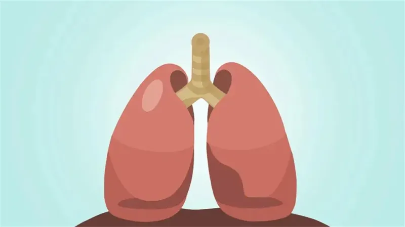 详细描述