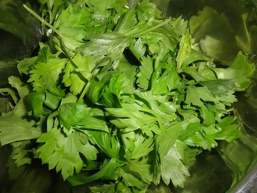 图片细节