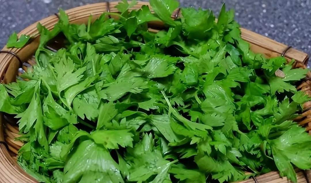 图片细节