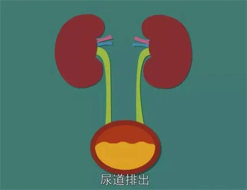 图片细节