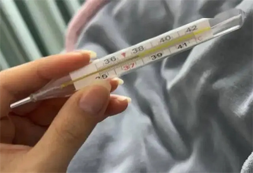 详细介绍