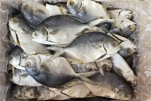 详细介绍