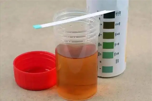 细节说明