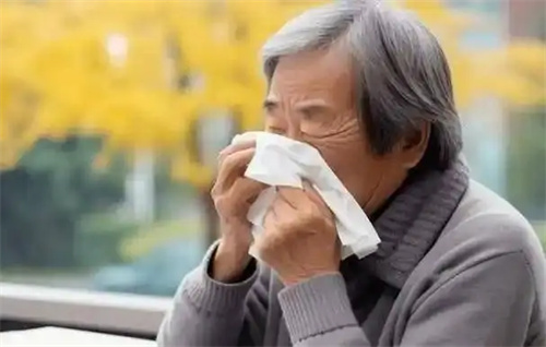 详细介绍