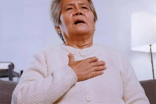 详细介绍