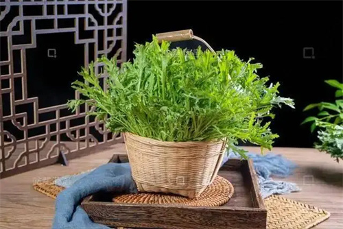 细节介绍