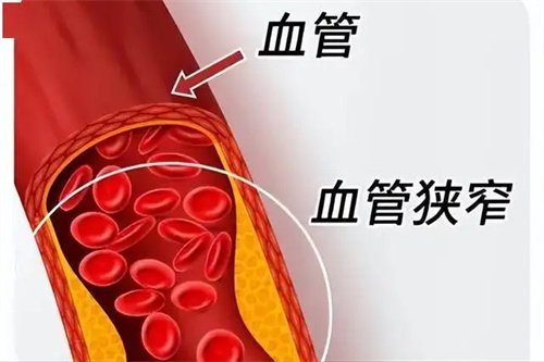 详细介绍