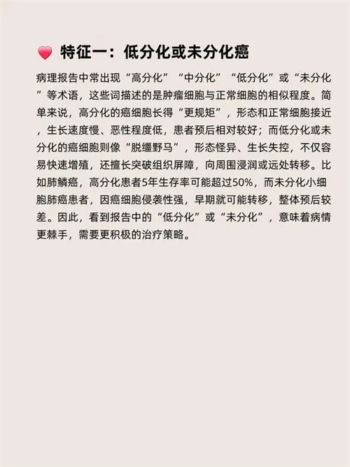 细节介绍