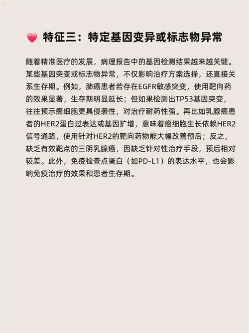 细节描述
