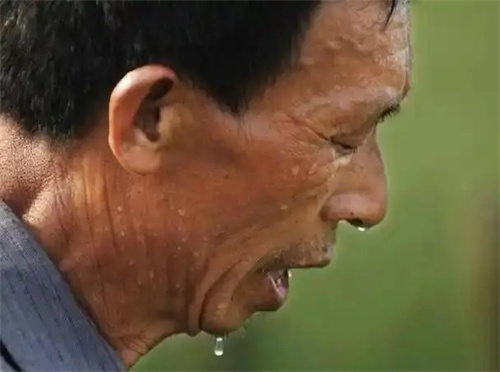 详细介绍