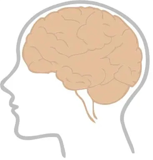 详细描述