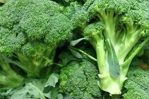 细节介绍