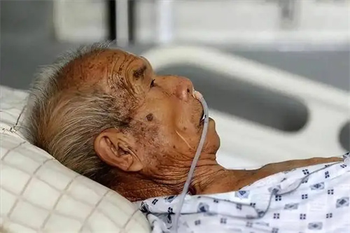 详细说明