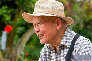 详细说明