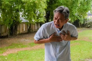 详细说明